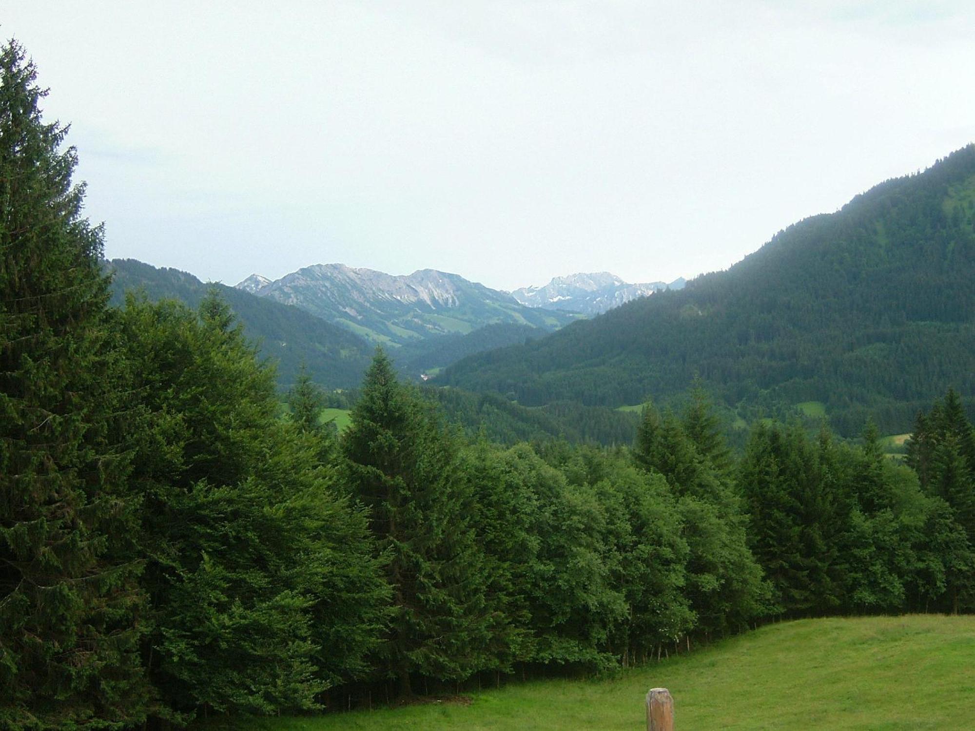 Alpenhof Reuterwanne Hotel Вертах Екстериор снимка