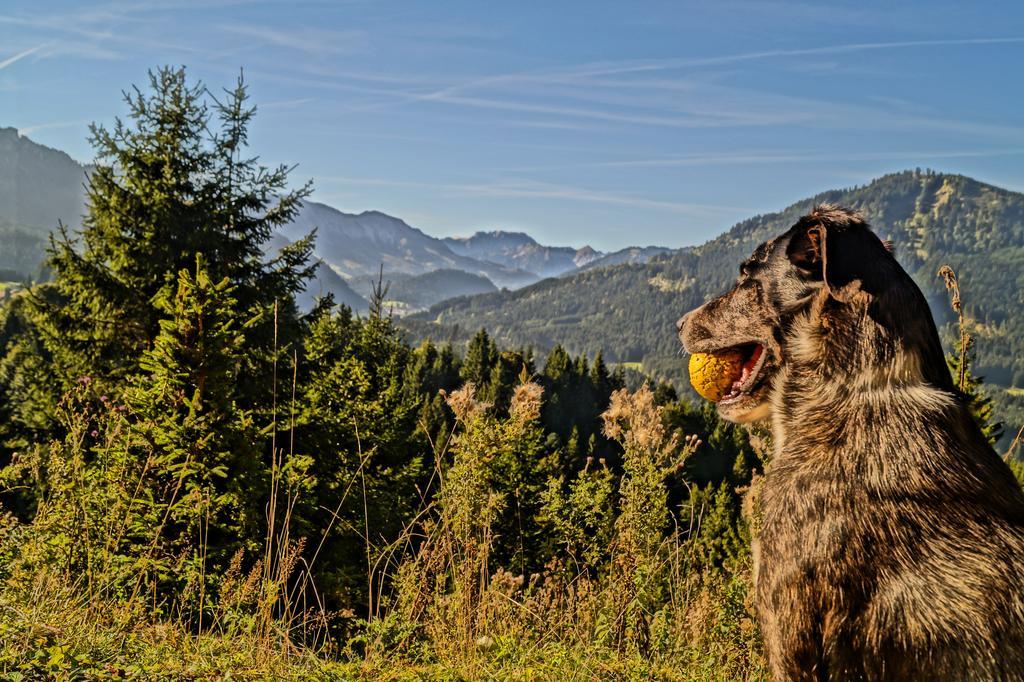 Alpenhof Reuterwanne Hotel Вертах Екстериор снимка